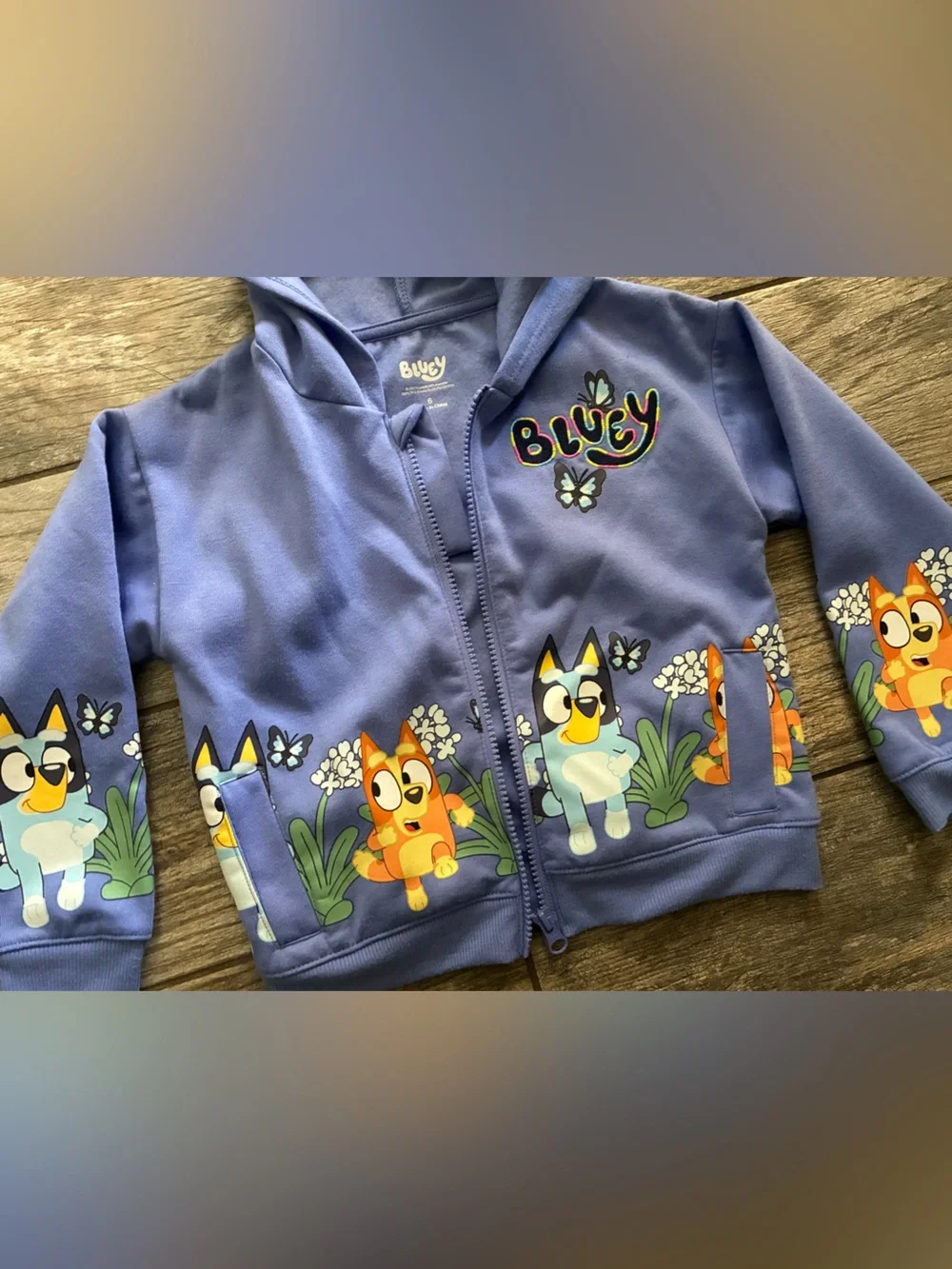 Bluey Girls Clothing Bundle with Earrings Size 6